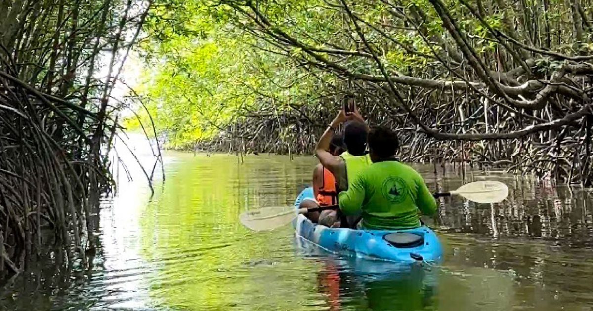 สัมผัสวิถีชุมชน บ้านท่าดินแดง พายเรือคายัคชมป่าโกงกาง  สาธิตการร่อนแร่แบบโบราณ